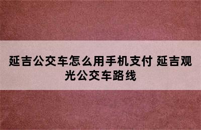 延吉公交车怎么用手机支付 延吉观光公交车路线